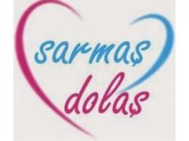 SARMAŞ DOLAŞ MODEL BAŞVURU